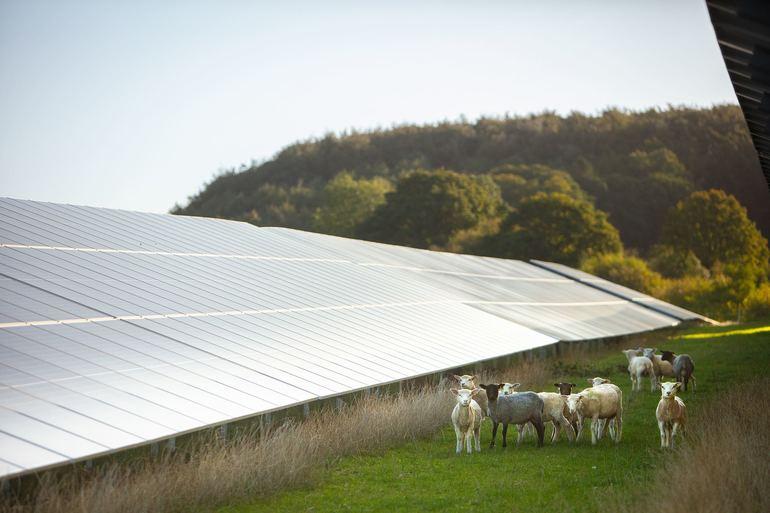 Solcellepark producerer nu grøn strøm til ni aktører