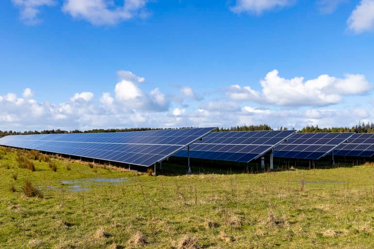 Forskningsprojekt skal undersøge sameksistens mellem solceller og landbrugsproduktion