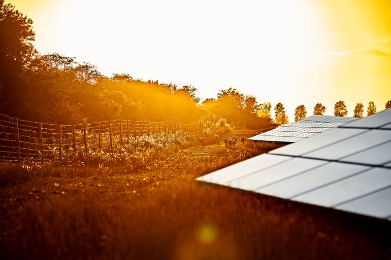 Ny solcellepark tæt på Odense skal levere grøn strøm til Carlsberg