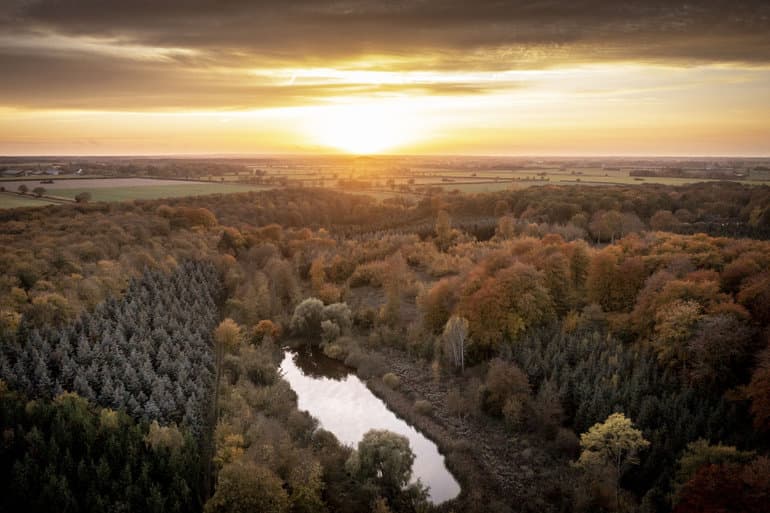 EU-Parlamentet godkender omfattende og omstridt naturlov