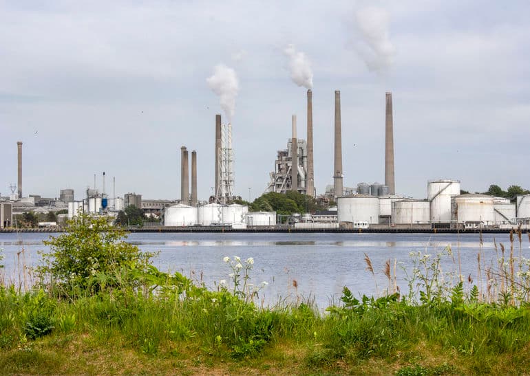 Danmarks grønne vækst er »i bund og grund greenwashing«