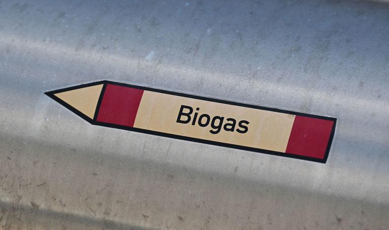 Biogas dækker rekordstor del af det danske gasforbrug