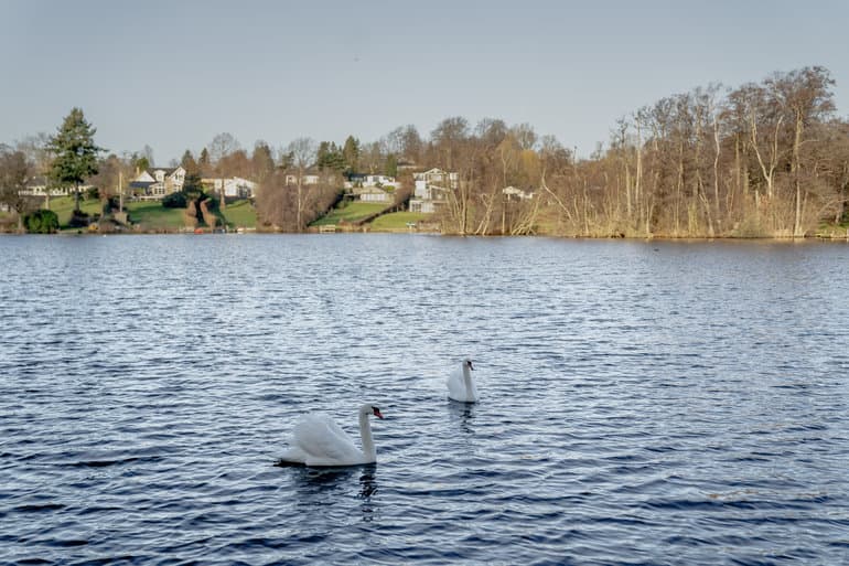 Prisloft stopper klimavenlig varme