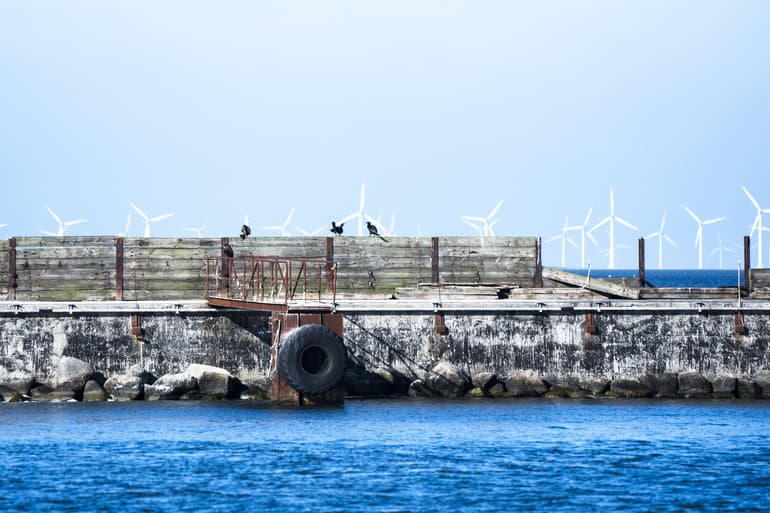 Vindblæst torsdag satte rekord for produktion af grøn energi