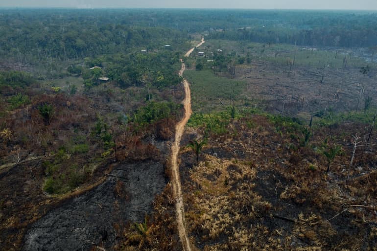 Rapport tegner dystert billede af klimaet - men der er også godt nyt