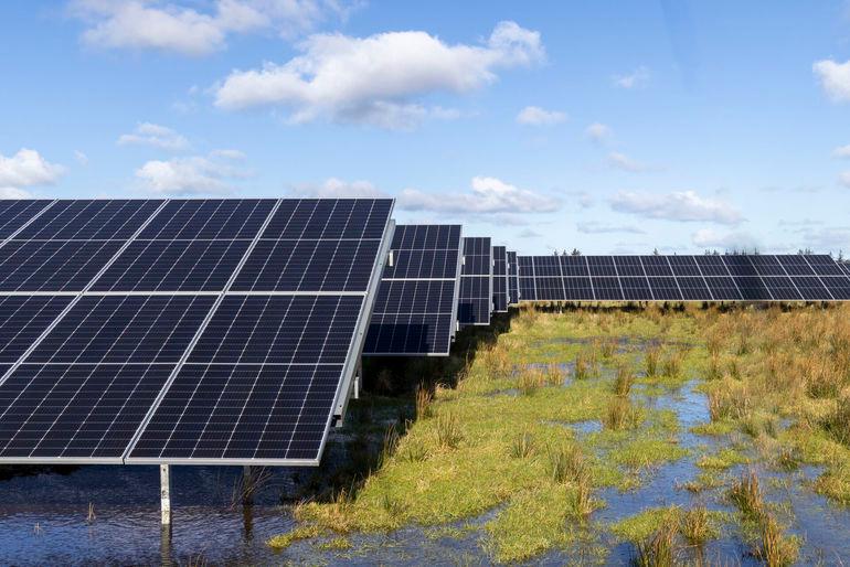 Nyborg vil sikre at solcelleparker giver andet end klimagevinst