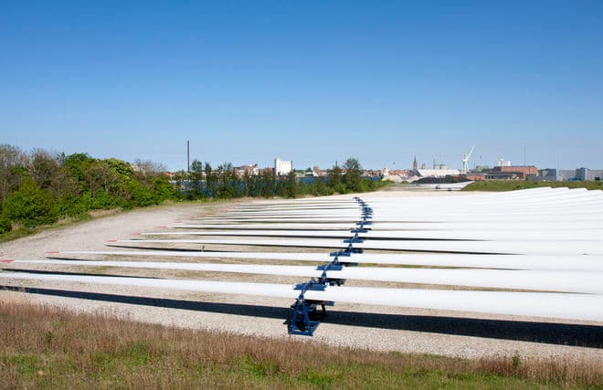 Lars Havn Eriksen/Biofoto/Ritzau Scanpix