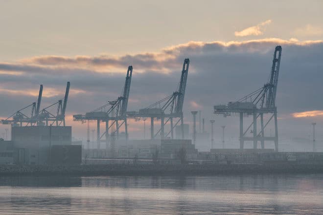 Morten Rasmussen/Biofoto/Ritzau Scanpix