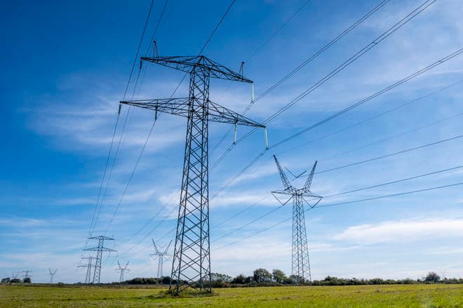 Kenneth Bagge Jørgensen/Biofoto/Ritzau Scanpix