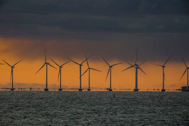 Kjeld Olesen/Biofoto/Ritzau Scanpix