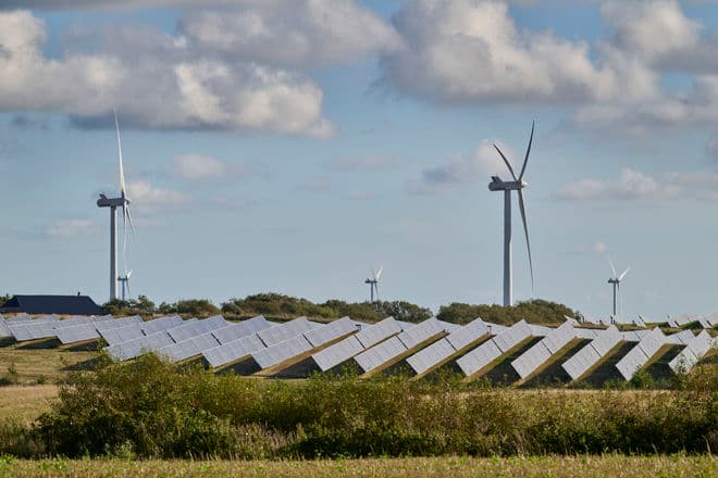 Morten Rasmussen/Biofoto/Ritzau Scanpix