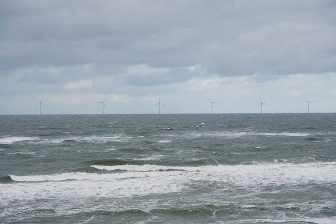 Hans Meineche/Biofoto/Ritzau Scanpix