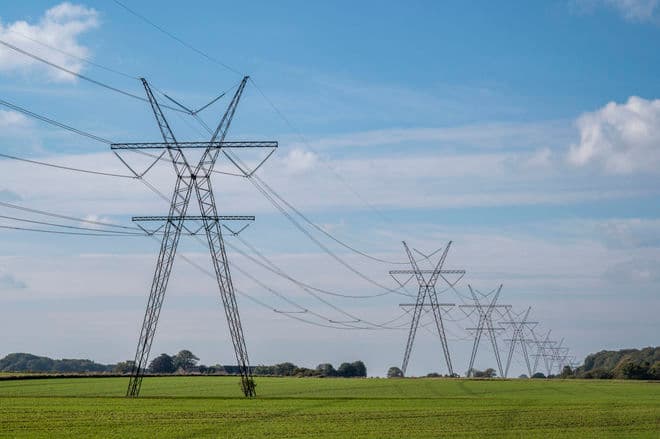 Kenneth Bagge Jørgensen/Biofoto/Ritzau Scanpix
