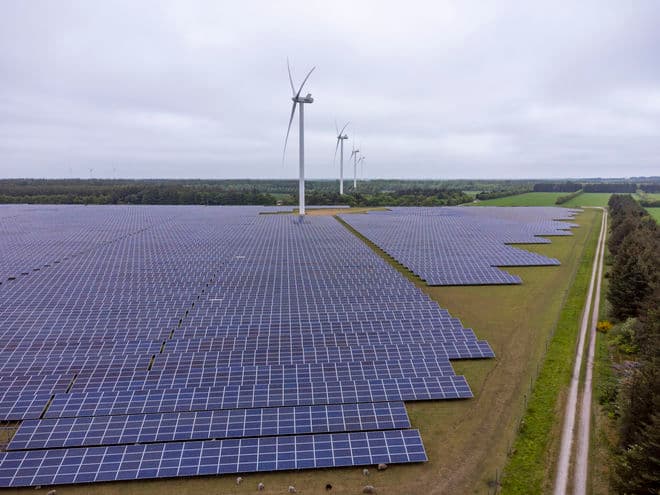 Kenneth Bagge Jørgensen/Biofoto/Ritzau Scanpix