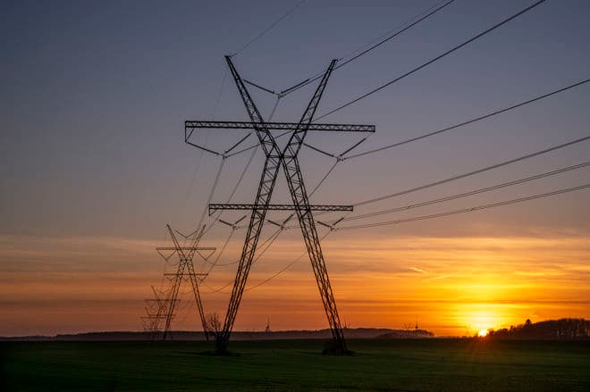Kenneth Bagge Jørgensen/Biofoto/Ritzau Scanpix