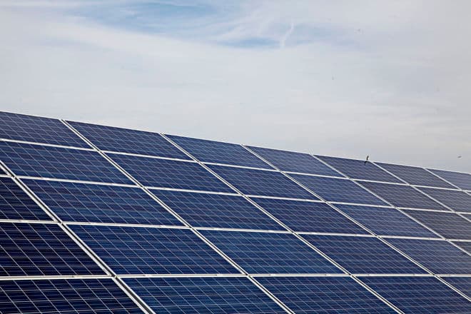 Jonas Skovbjerg Fogh/Jonasskovbjergfogh/Ritzau Scanpix