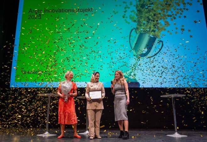 Energy Cluster Denmark