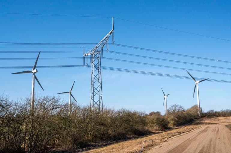 Kenneth Bagge Jørgensen/Biofoto/Ritzau Scanpix