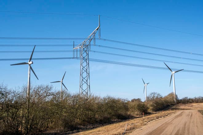 Kenneth Bagge Jørgensen/Biofoto/Ritzau Scanpix