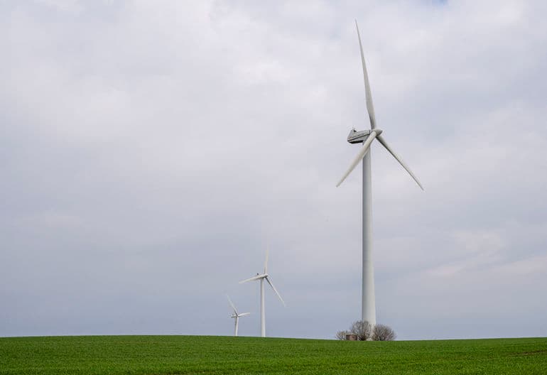 Kenneth Bagge Jørgensen/Biofoto/Ritzau Scanpix