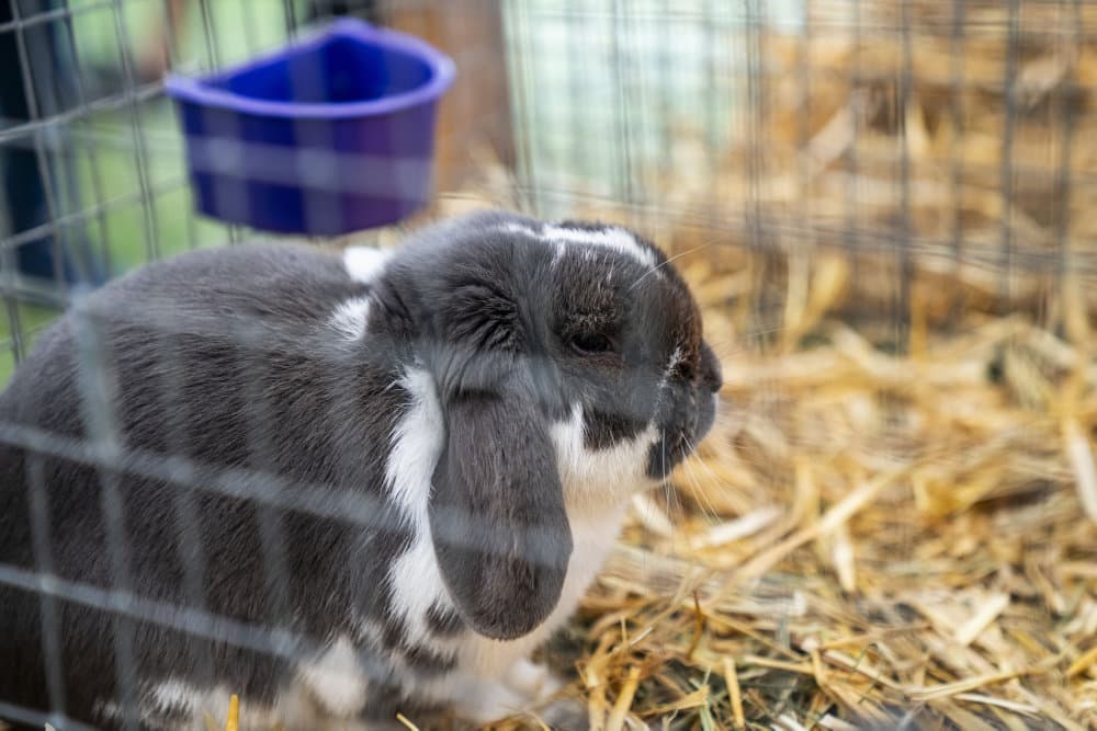 Foto &copy;Ida Marie Odgaard/Ritzau Scanpix