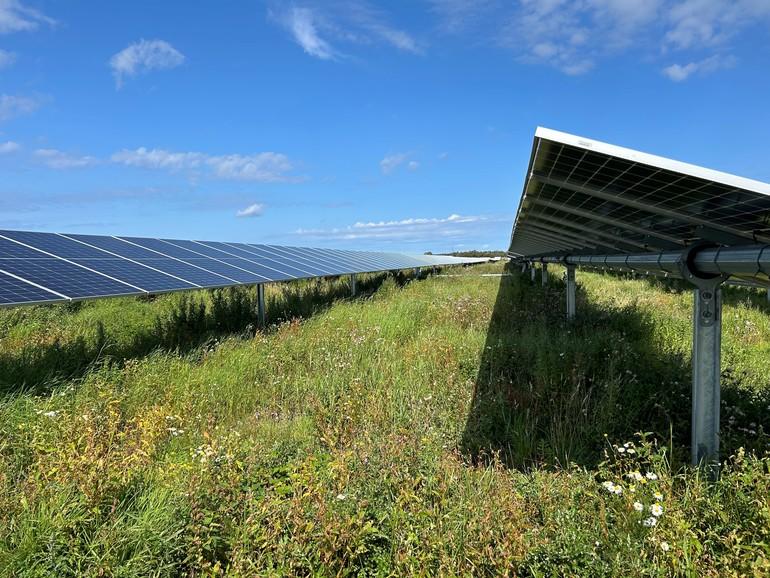 Hofor sætter ny solcellepark i drift i Jylland