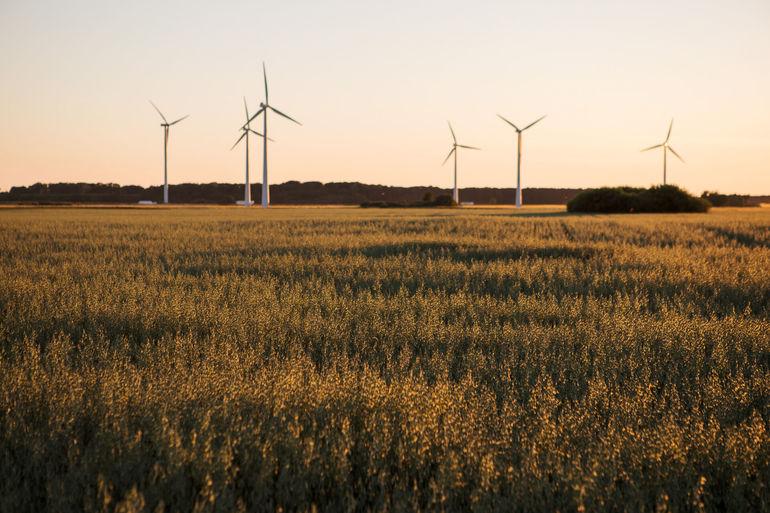 Vedvarende energi dækkede historisk høj del af dansk elforbrug i 2022