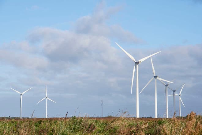 Hans Meineche/Biofoto/Ritzau Scanpix