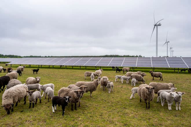 Kenneth Bagge Jørgensen/Biofoto/Ritzau Scanpix
