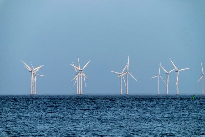 Lars Laursen/Biofoto/Ritzau Scanpix