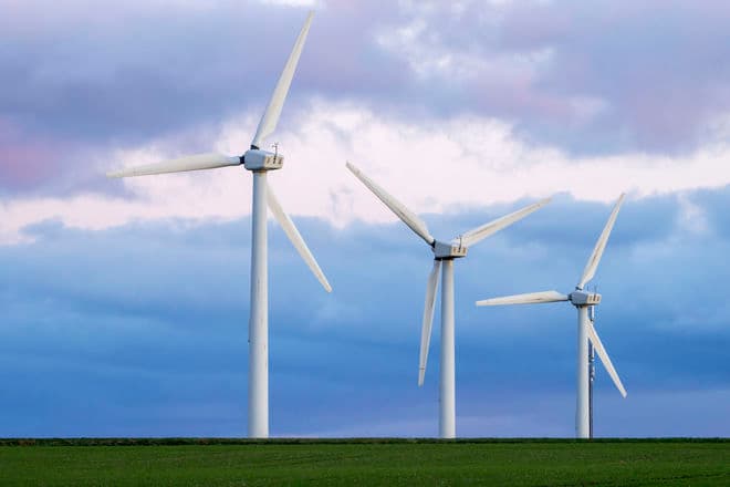 Lars Laursen/Biofoto/Ritzau Scanpix