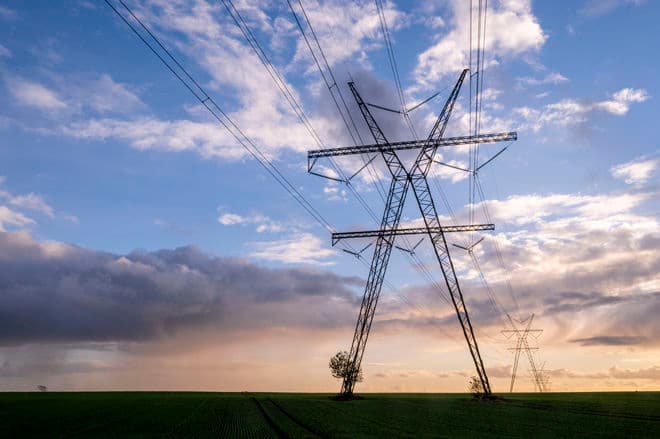 Kenneth Bagge Jørgensen/Biofoto/Ritzau Scanpix