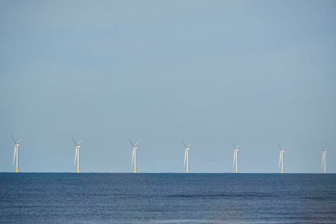 Morten Rasmussen/Biofoto/Ritzau Scanpix