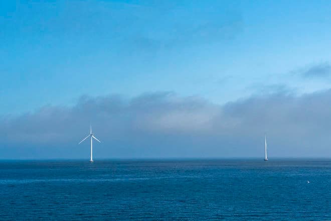 Lars Laursen/Biofoto/Ritzau Scanpix