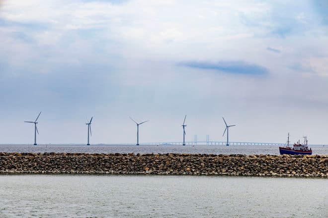 Søren Breiting/Biofoto/Ritzau Scanpix